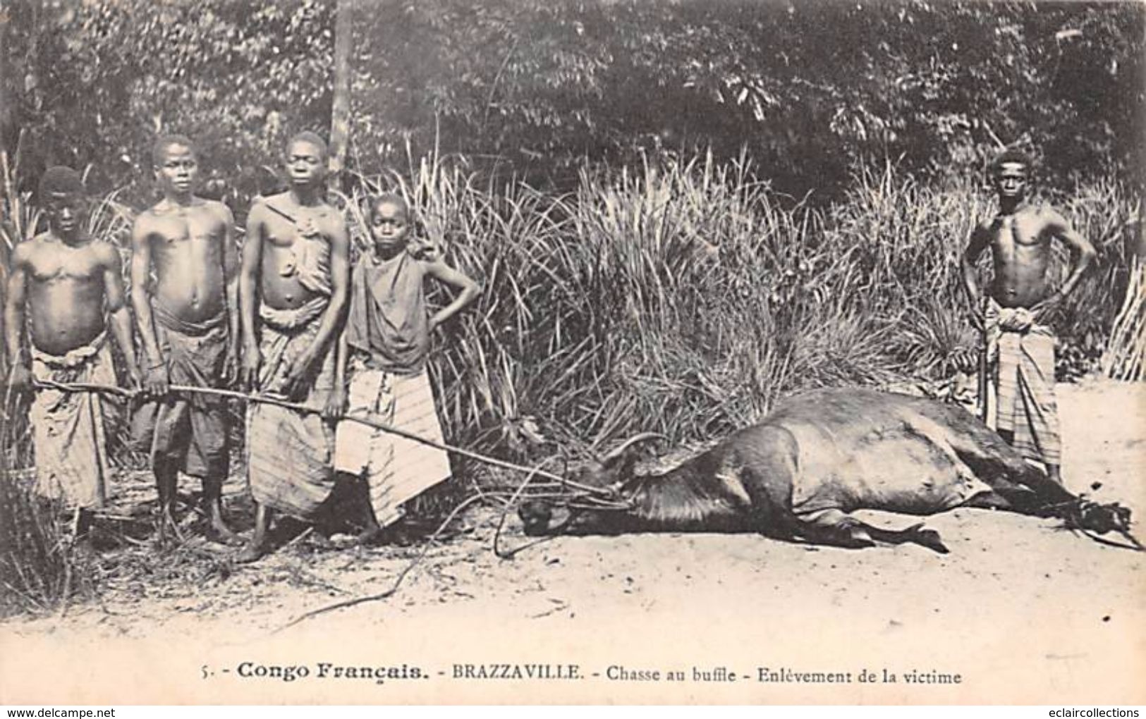 Thème: Chasse A Tir Congo Français: Trappe A Léopard.Chasse Au Buffle.   3 Cartes   (voir Scan) - Hunting