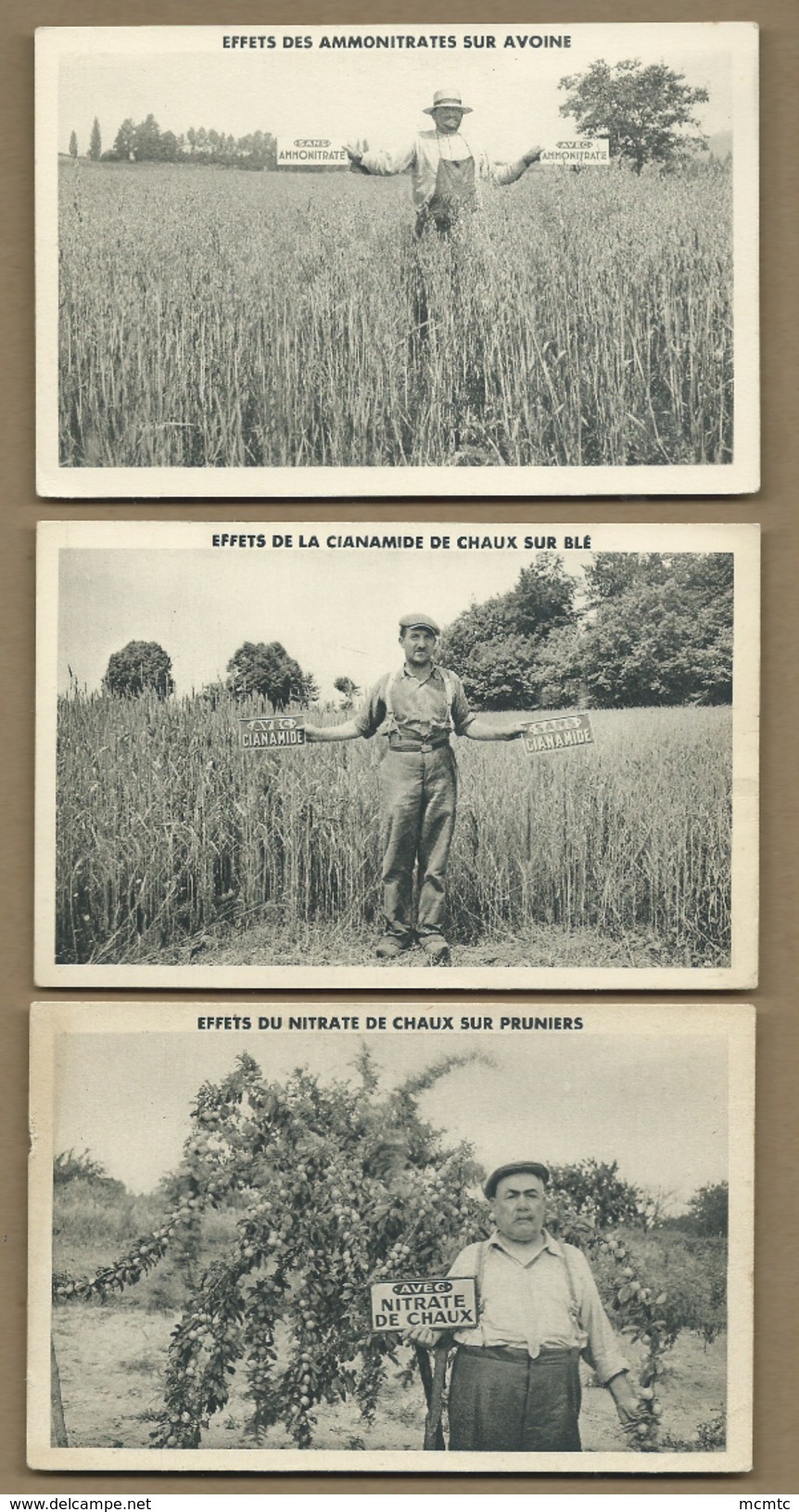 5 CPA - Effets Des Ammonitrates,De La Cianamide De Chaux ,nitrate De Chaux,de Sulfate D'Ammoniaque(agricole,agriculture) - Culturas