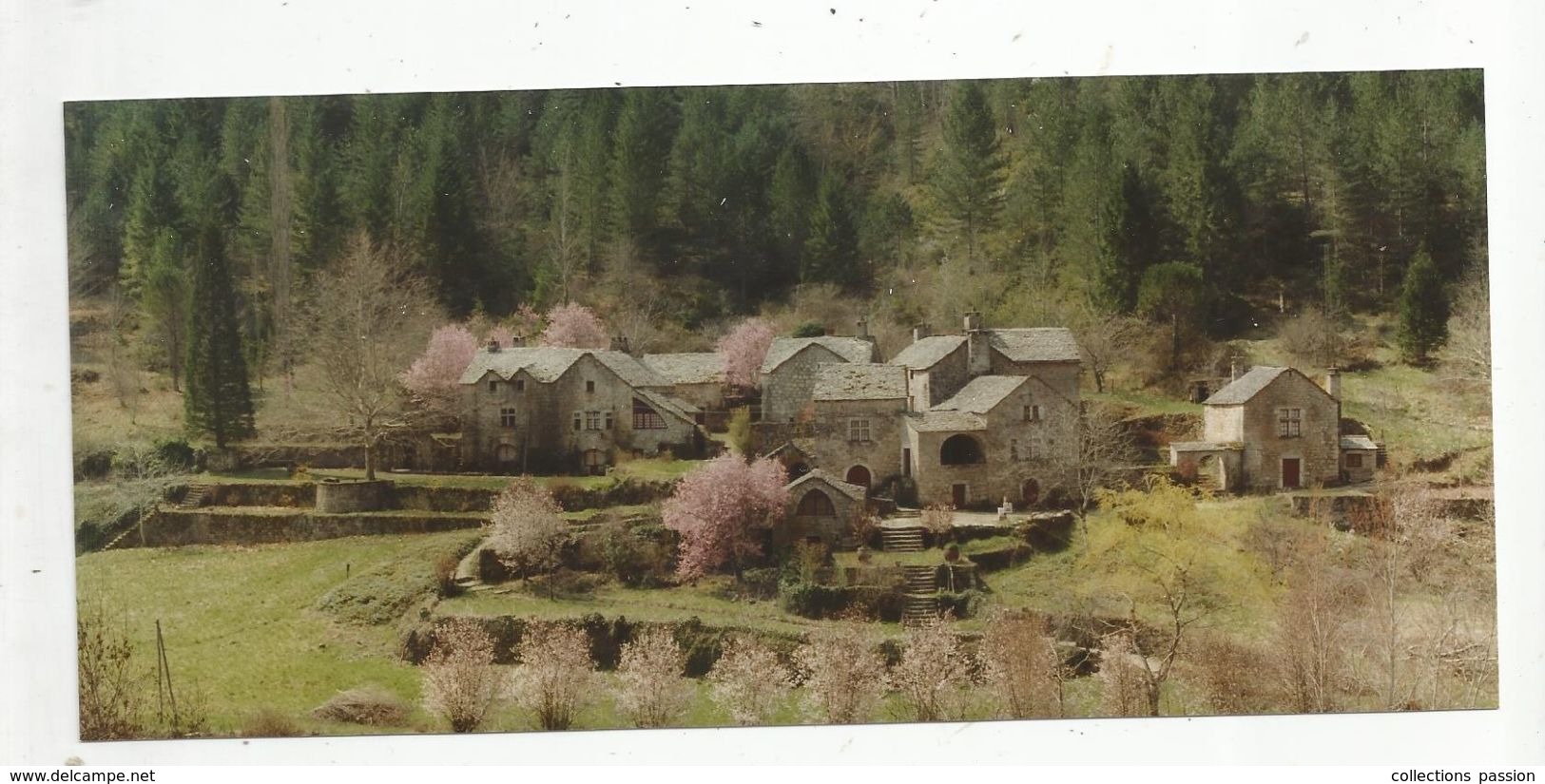 Photographie Studio Martin , GORGES DU TARN , LA CROZE , Lozére , 20 X 9 ,frais Fr : 1.45 E - Lieux