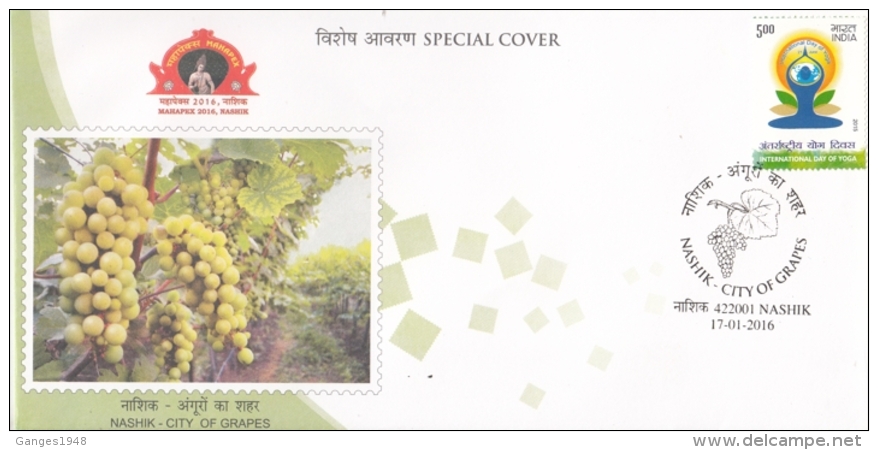 India  2016  Grapes Plant  Grapes Cancellation  NASHIK  Special Cover  #   04656   D  Inde Indien - Fruits