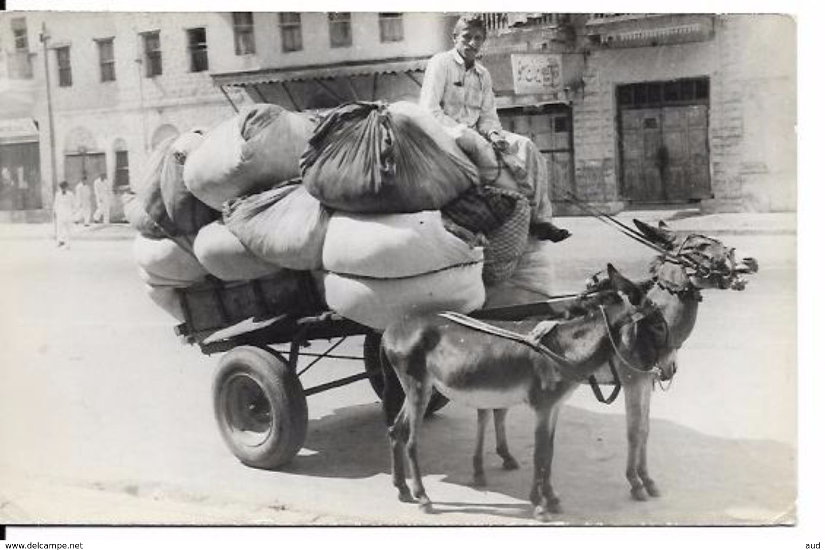 PAKISTAN, KARACHI, Donkey Cart - Pakistan