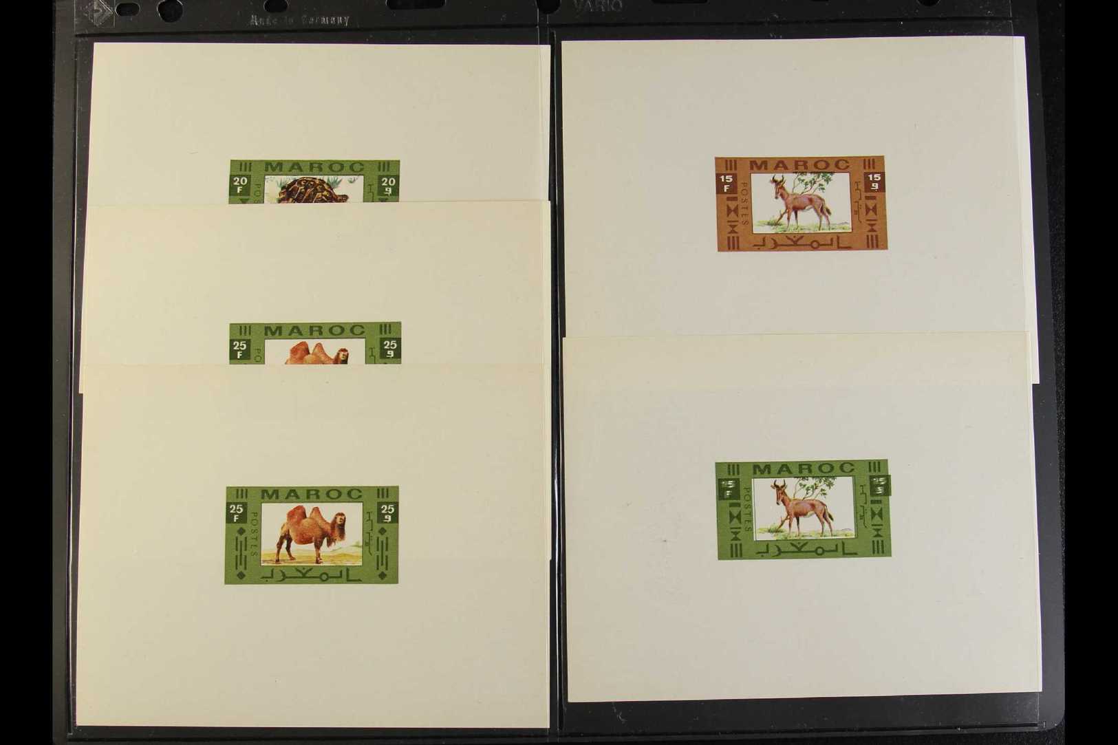 WILDLIFE Morocco Circa 1960s/70s Unissued Design In A Group Of Imperforate Colour Proofs With Values To 45f, Depict Came - Non Classés