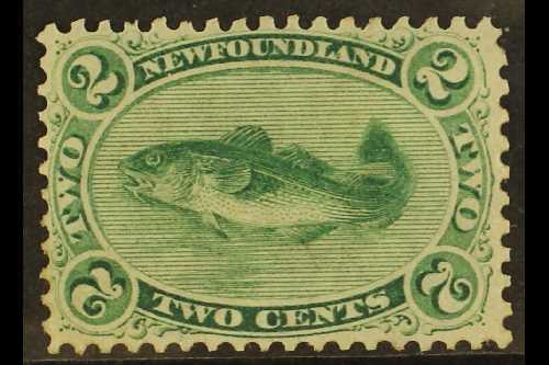 1865-70 2c Yellowish Green Atlantic Cod, Perf 12 On Thin Yellowish Paper, SG 25, Fine Mint With Original Gum. For More I - Other & Unclassified