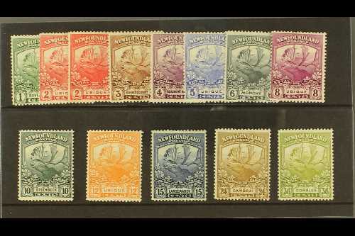 1919 Newfoundland Contingent (Caribou) Complete Set Incl Both 2c Shades, SG 130/141 Plus 131a, Very Fine Mint. (13 Stamp - Andere & Zonder Classificatie