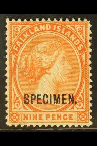 1891 - 1902 9d Salmon, SG 36, Overprinted "Specimen", Very Fine Mint. For More Images, Please Visit Http://www.sandafayr - Falklandeilanden