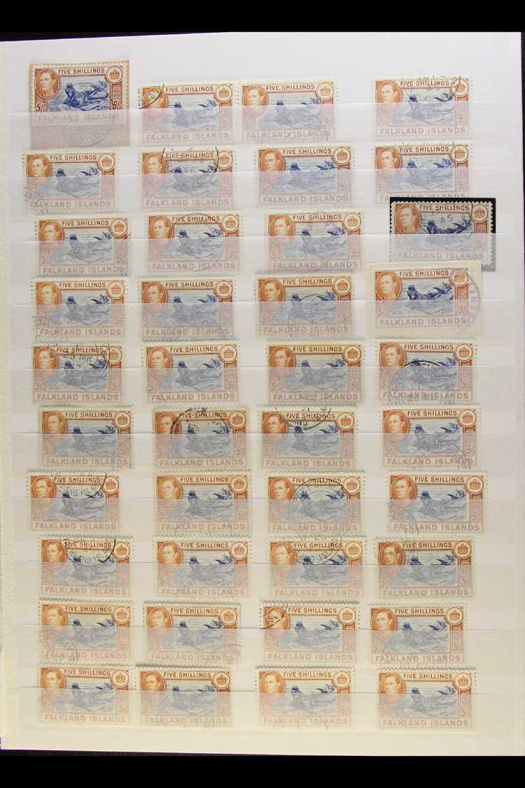 1938-50 FINE USED - 5s SHADES ACCUMULATION CAT £3.5K+ A Large, Very Fine, Cds Used Hoard Of Forty Examples Of The Pictor - Falkland Islands