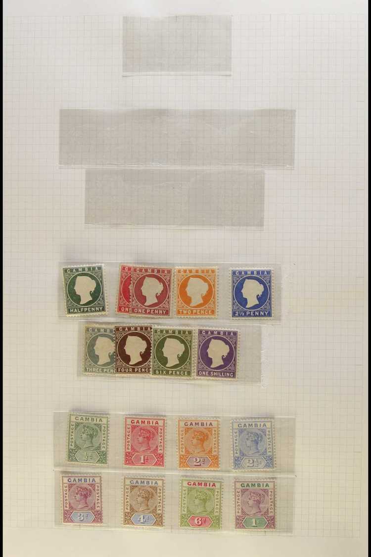 1886 - 1938 FRESH MINT ONLY COLLECTION Fine Mint Collection With Many Complete Sets And Better Items In Mounts On Pages  - Gambia (...-1964)