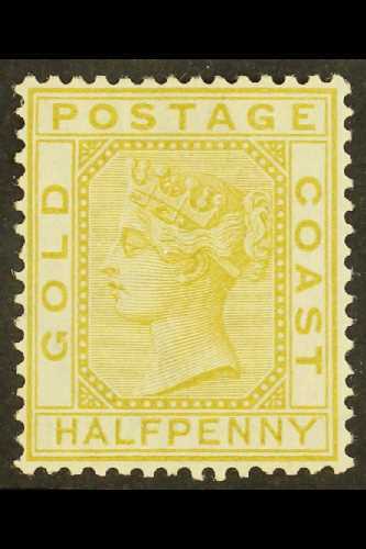 1876-84 (wmk CC) ½d Olive-yellow, SG 4, Fine Mint. For More Images, Please Visit Http://www.sandafayre.com/itemdetails.a - Gold Coast (...-1957)