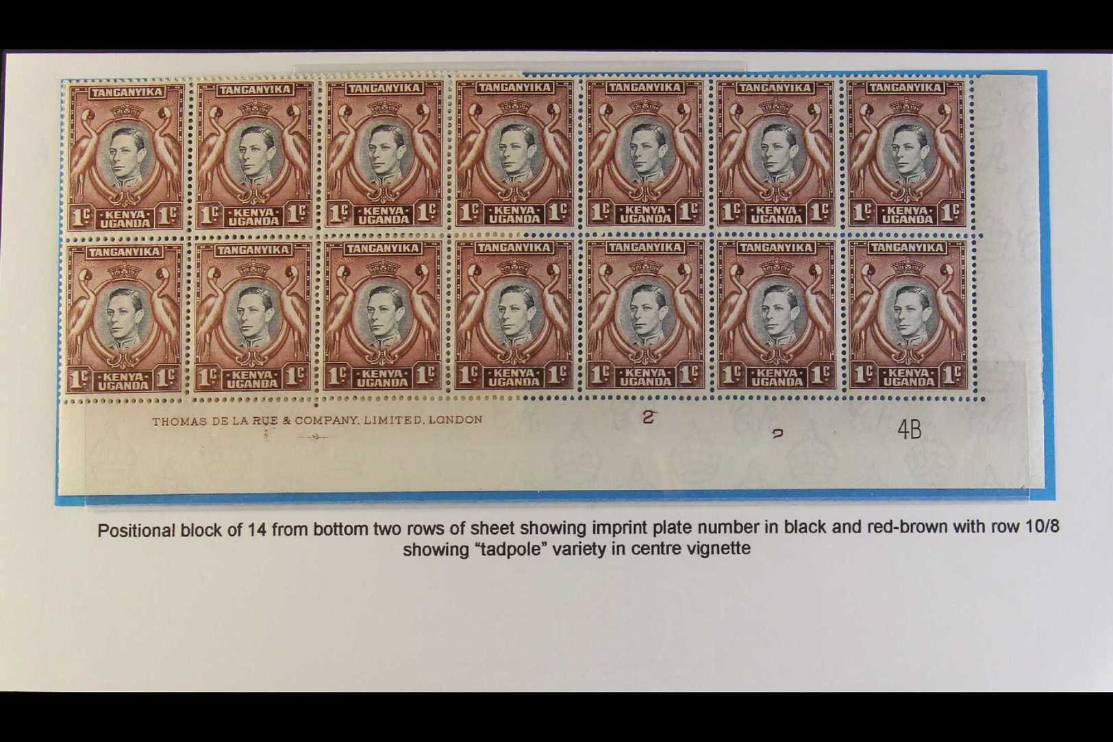 1942 1c Black And Chocolate Brown, Perf 13¼ X 13¾, SG 131, A Fine Never Hinged Mint Plate Block Of Twenty From The Botto - Vide
