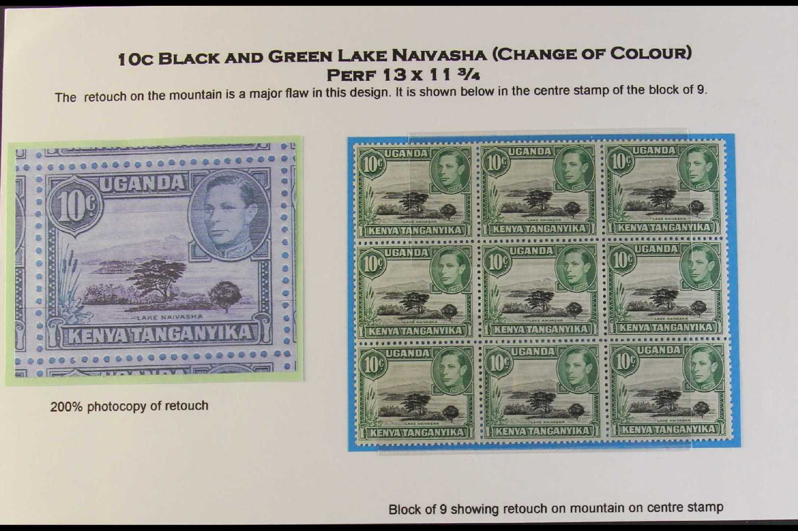 1949 10c Black And Green, Perf 13 X 11¾, SG 135, A Superb Never Hinged Mint Block Of Nine With The Centre Stamp Showing  - Vide