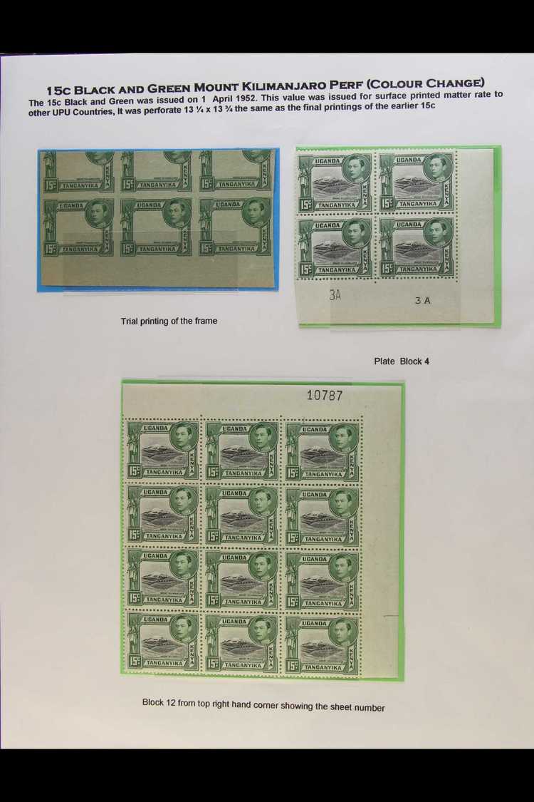 1952 TRIAL PRINTING AND BLOCKS 15c Black And Green, Perf 13¼ X 13¾, SG 138, An Imperf Trial Printing With The FRAME ONLY - Vide