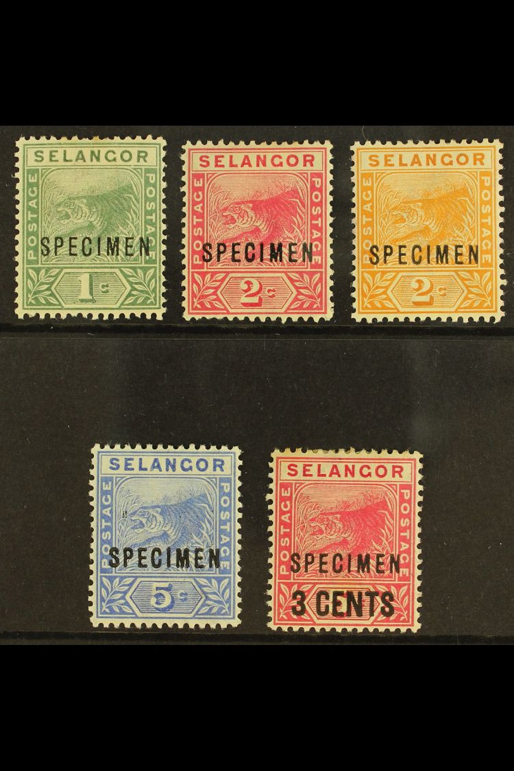 SELANGOR 1891 - 4 Tigers Set Plus 3c Overprint Overprinted "Specimen", SG 49s/53s, Very Fine Mint. (5 Stamps) For More I - Autres & Non Classés