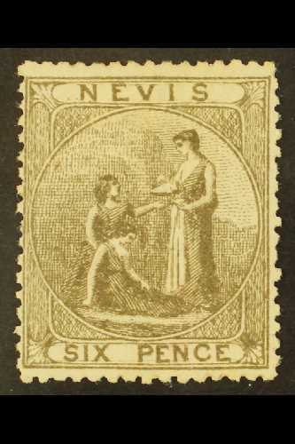 1878 6d Grey Litho Printing, SG 19, Very Fresh Unused Without Gum. For More Images, Please Visit Http://www.sandafayre.c - St.Christopher-Nevis-Anguilla (...-1980)