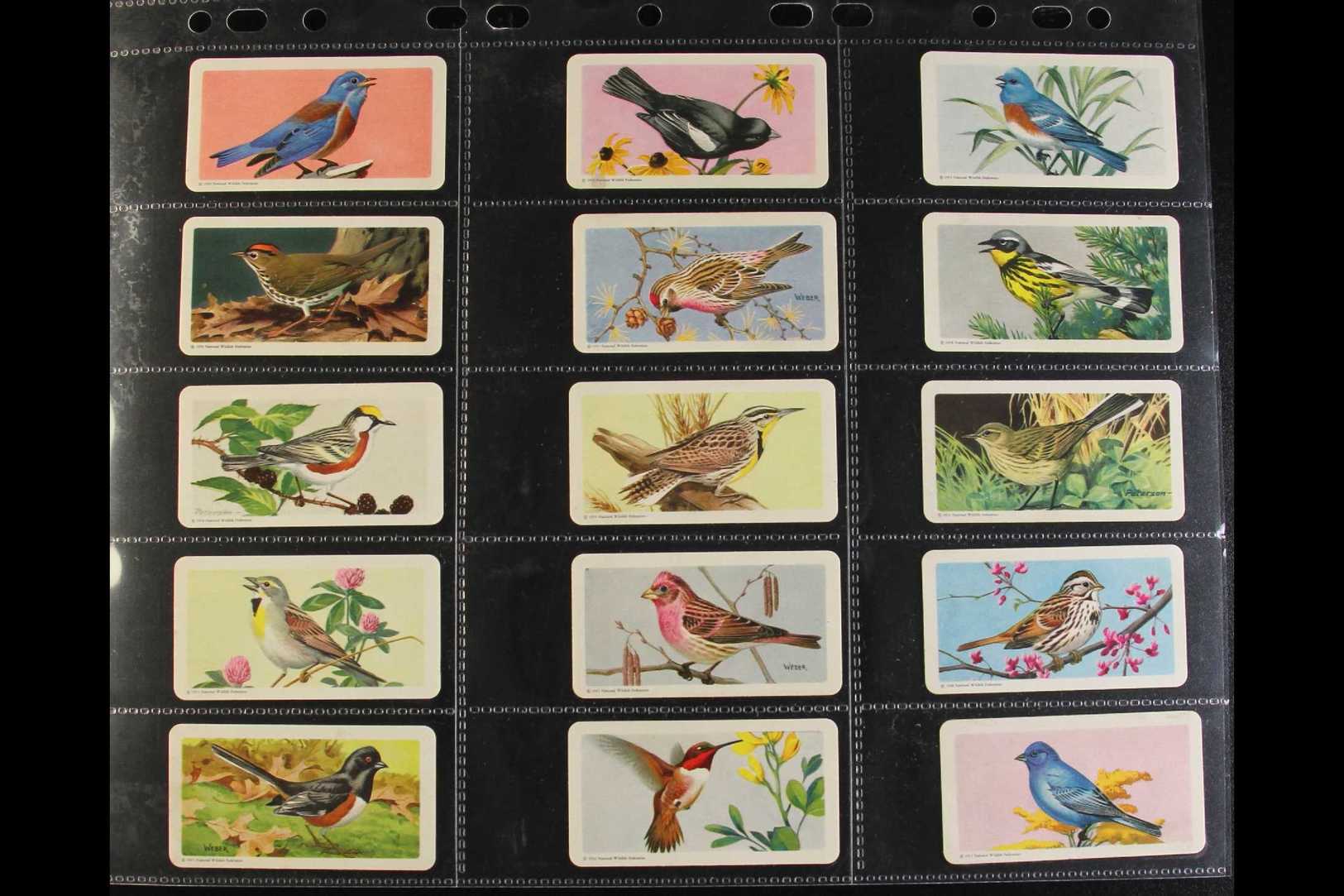 BROOKE BOND CANADA SETS 1959-73 All Different Collection Of Complete Sets Of 48, With 1959 Songbirds, 1961 Wild Flowers, - Autres & Non Classés