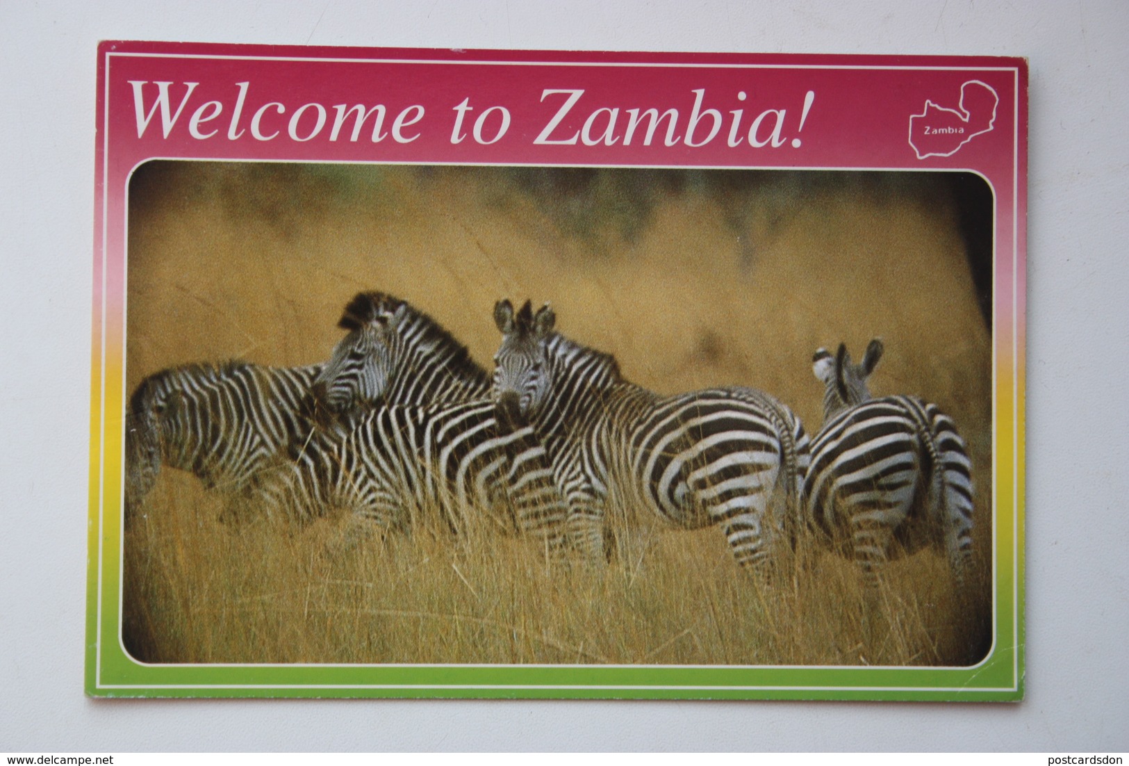 AFRICA, ZAMBIA, GRANT'S ZEBRA   Old Postcard - Zambia