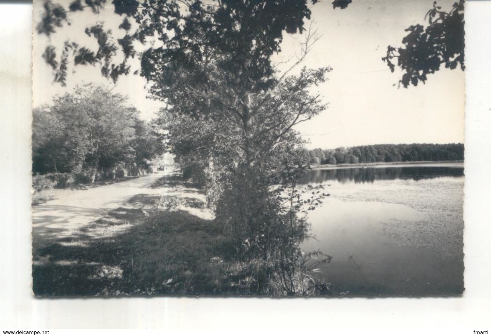 Saint Emiland, Etang De Saint Emiland - Sonstige & Ohne Zuordnung