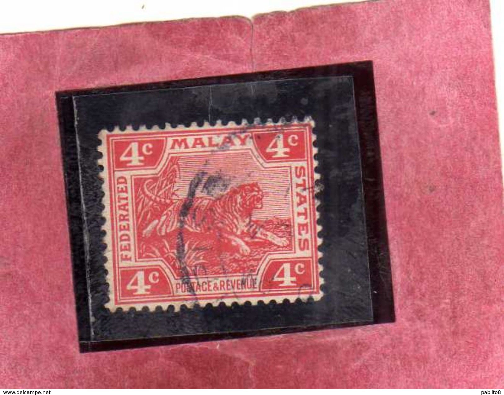 MALAYA MALAISIE MALESIA FEDERATED STATES 1906 1922 WILD FAUNA TIGER TIGRE CENT. 4c USATO USED OBLITERE' - Fédération De Malaya