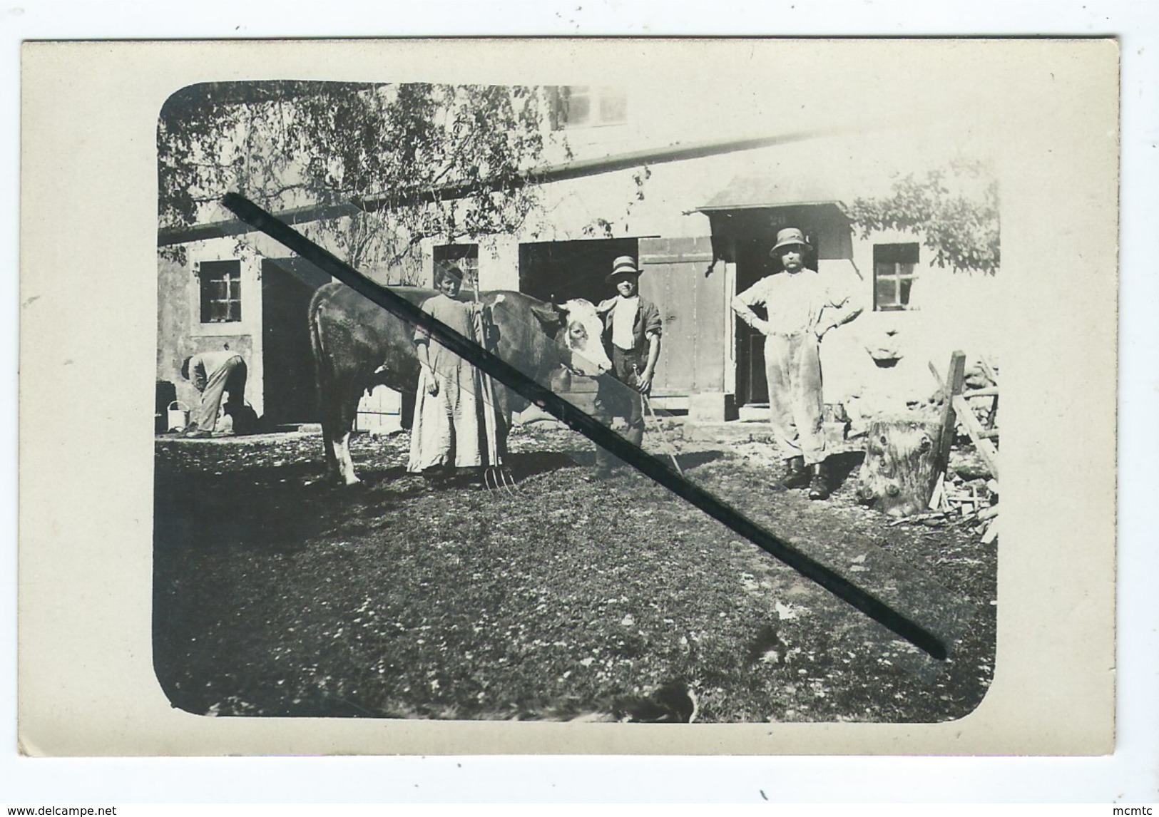 CPA - Cour De Ferme , Vache ,agricole - Boerderijen