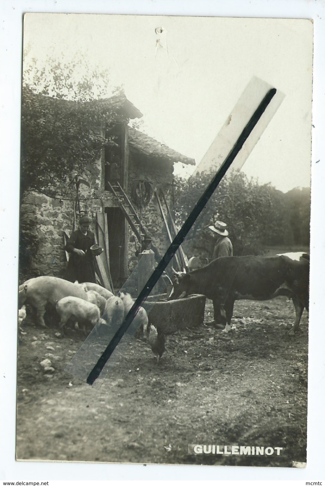 CPA Abîmée  - Cour De Ferme , Vache , Cochon , Poule ,agricole - Fermes