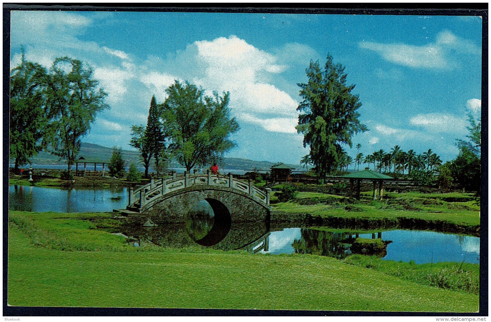 RB 1182 - 3 Postcards - Liliuokalani Park- Tree Climber - Edgewater Hotel - Hawaii USA - Honolulu