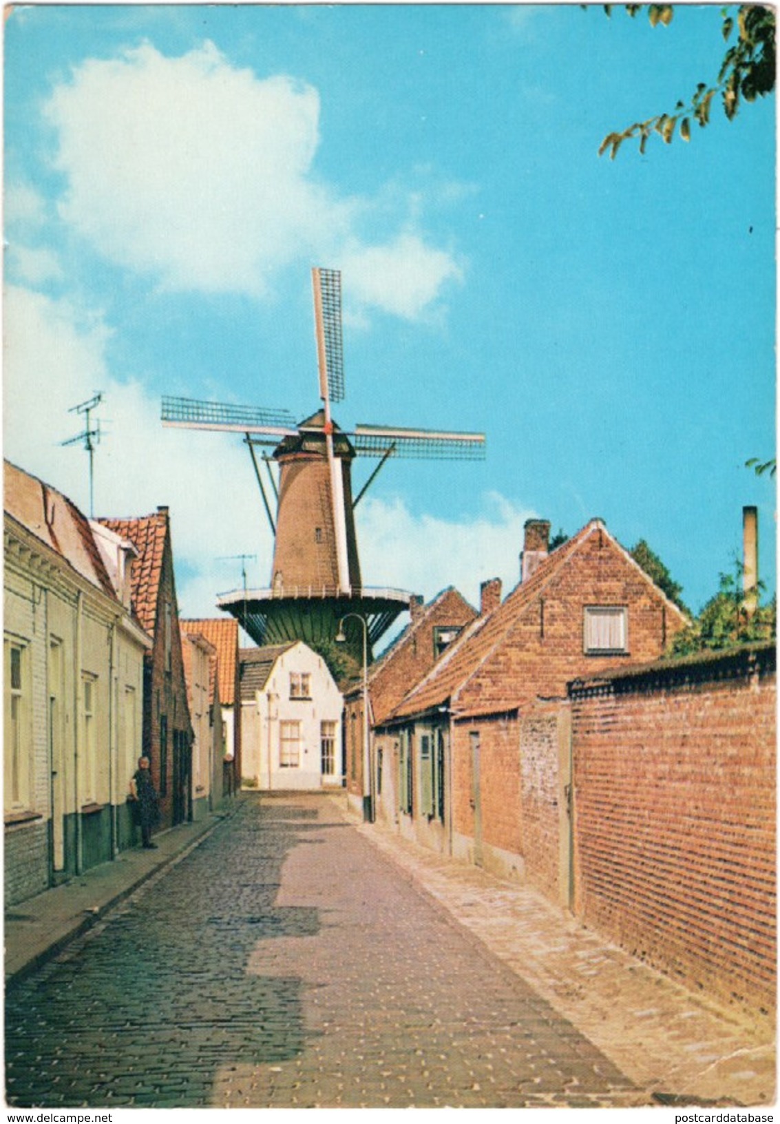 Hulst - Stadsmolen - & Windmill - Hulst