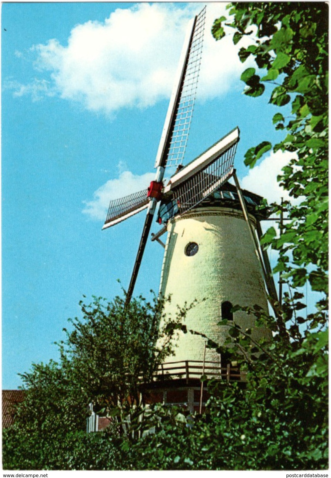 Panorama Molen Rhenen - & Windmill - Rhenen