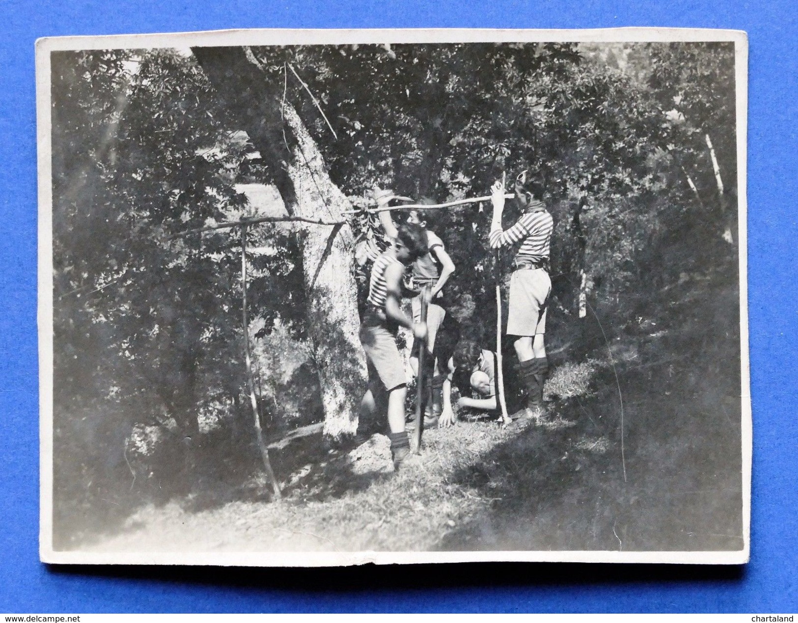 Fotografia D'epoca  - Fotocartolina Boy Scout Liguria (41) - Fine Anni '40 - Autres & Non Classés