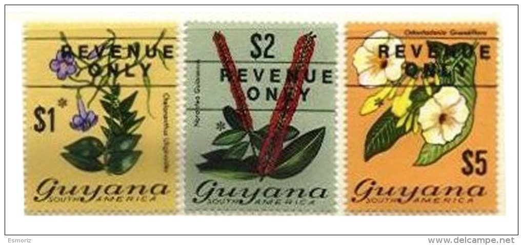 BRITISH GUYANA, Revenues, B&amp;H 9/11, ** MNH, F/VF - British Guiana (...-1966)