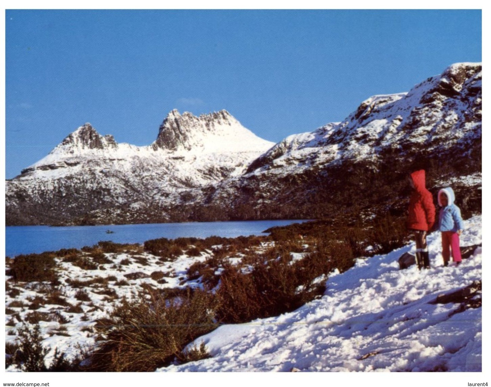 (461) Australia - TAS - Cradle Mountain In Winter - Wilderness