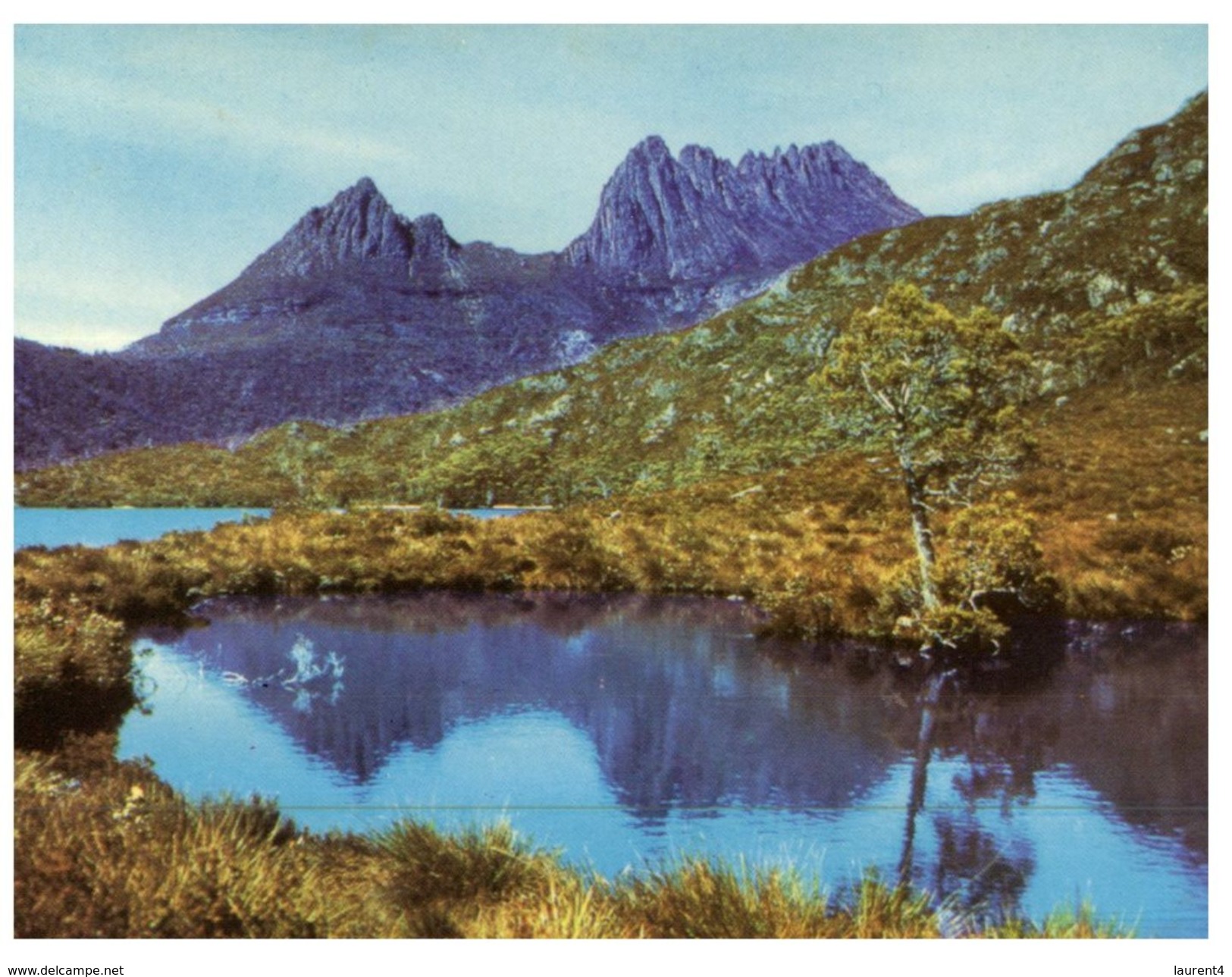 (461) Australia - TAS - Cradle Mountain & Dove Lake - Wilderness