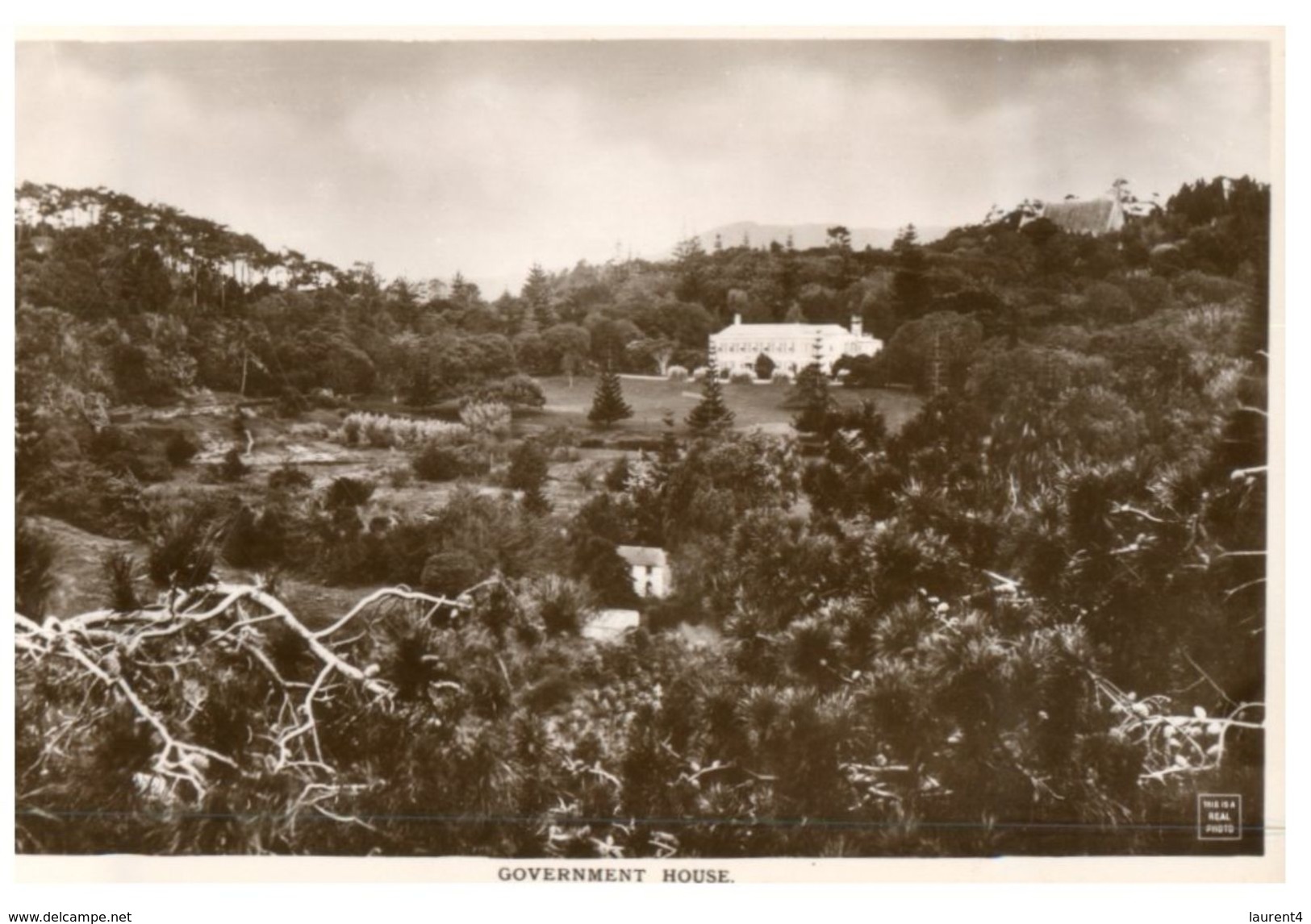 (105) Very Old Postcard / Carte Ancienne - St Helena Island - Government House - Saint Helena Island