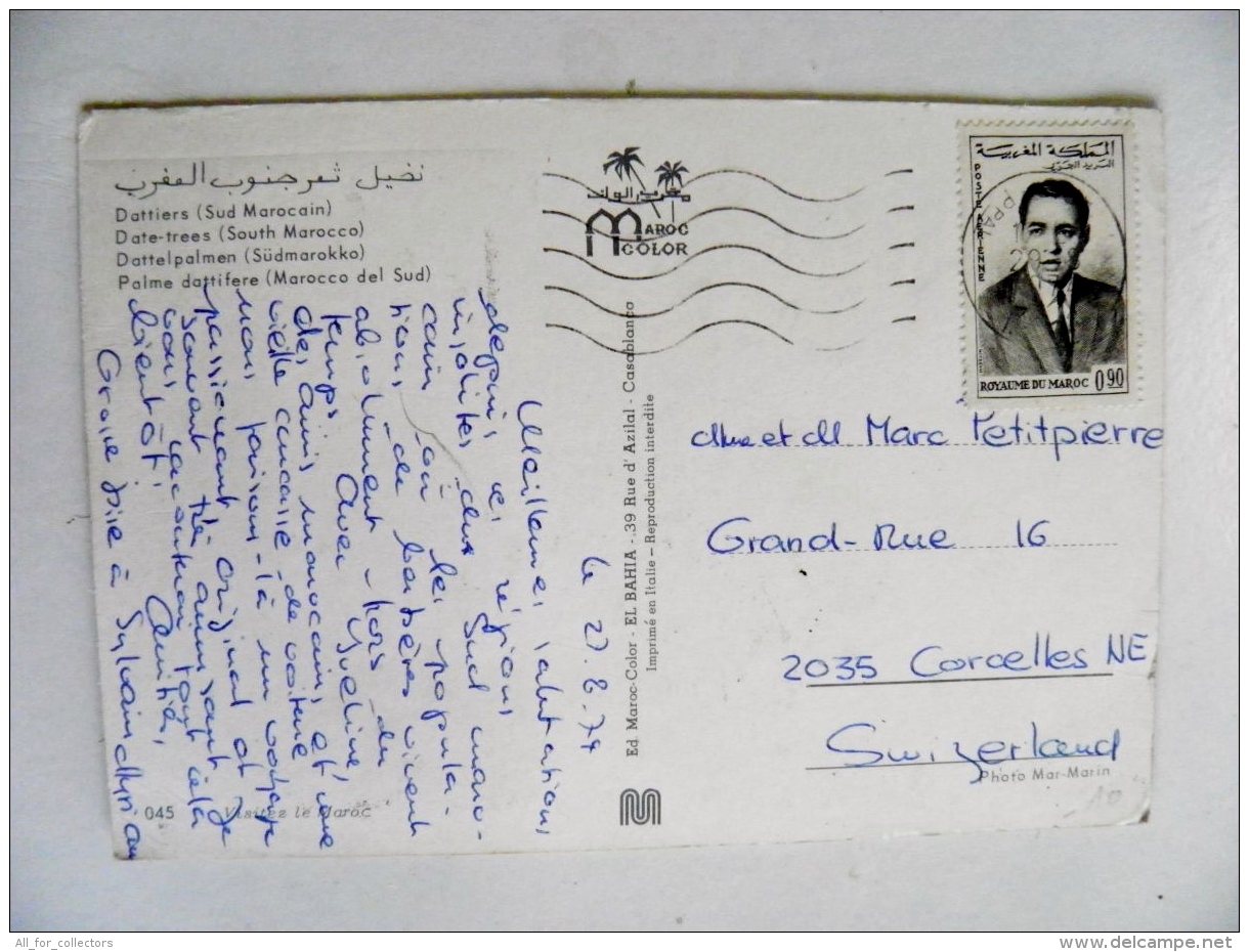 Post Card From Morocco Maroc Carte Postale 1974 Date Trees Palm - Morocco (1956-...)