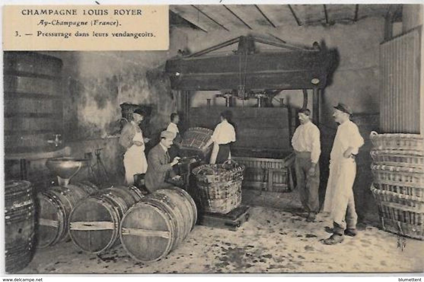 CPA Ay En Champagne Métier LOUIS ROYER Vins De Champagne Vignerons Non Circulé - Ay En Champagne