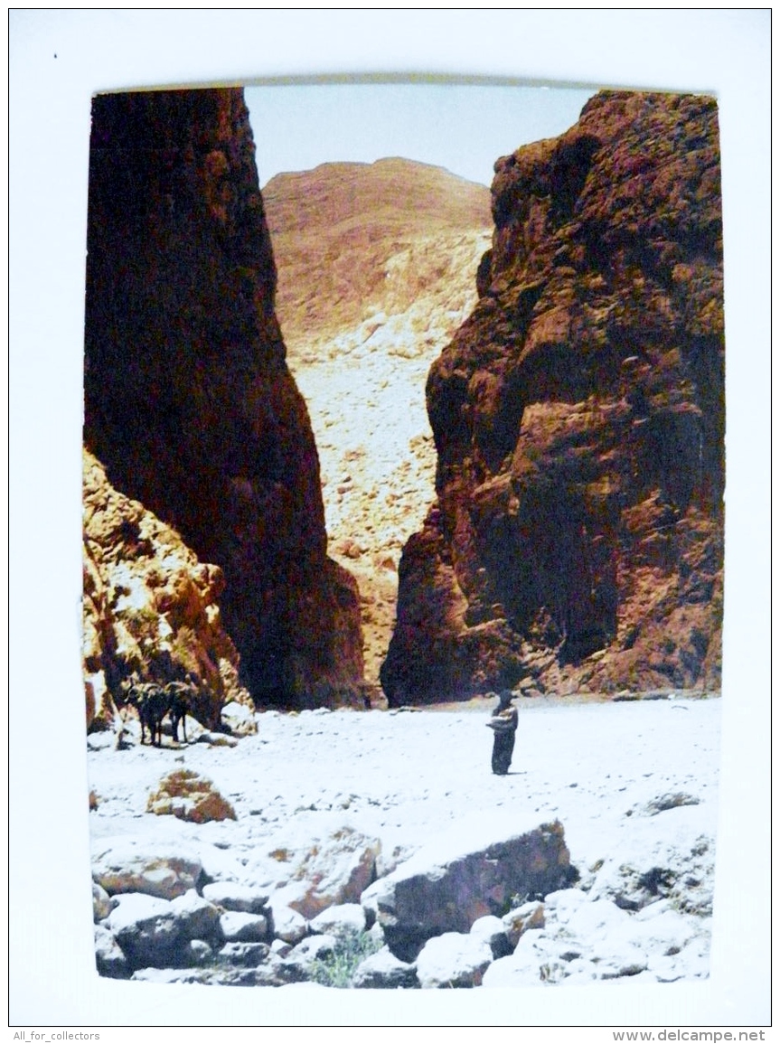 Post Card From Morocco Maroc Carte Postale 1986 Mountains Rocks Tinghir Gorge Todra - Morocco (1956-...)