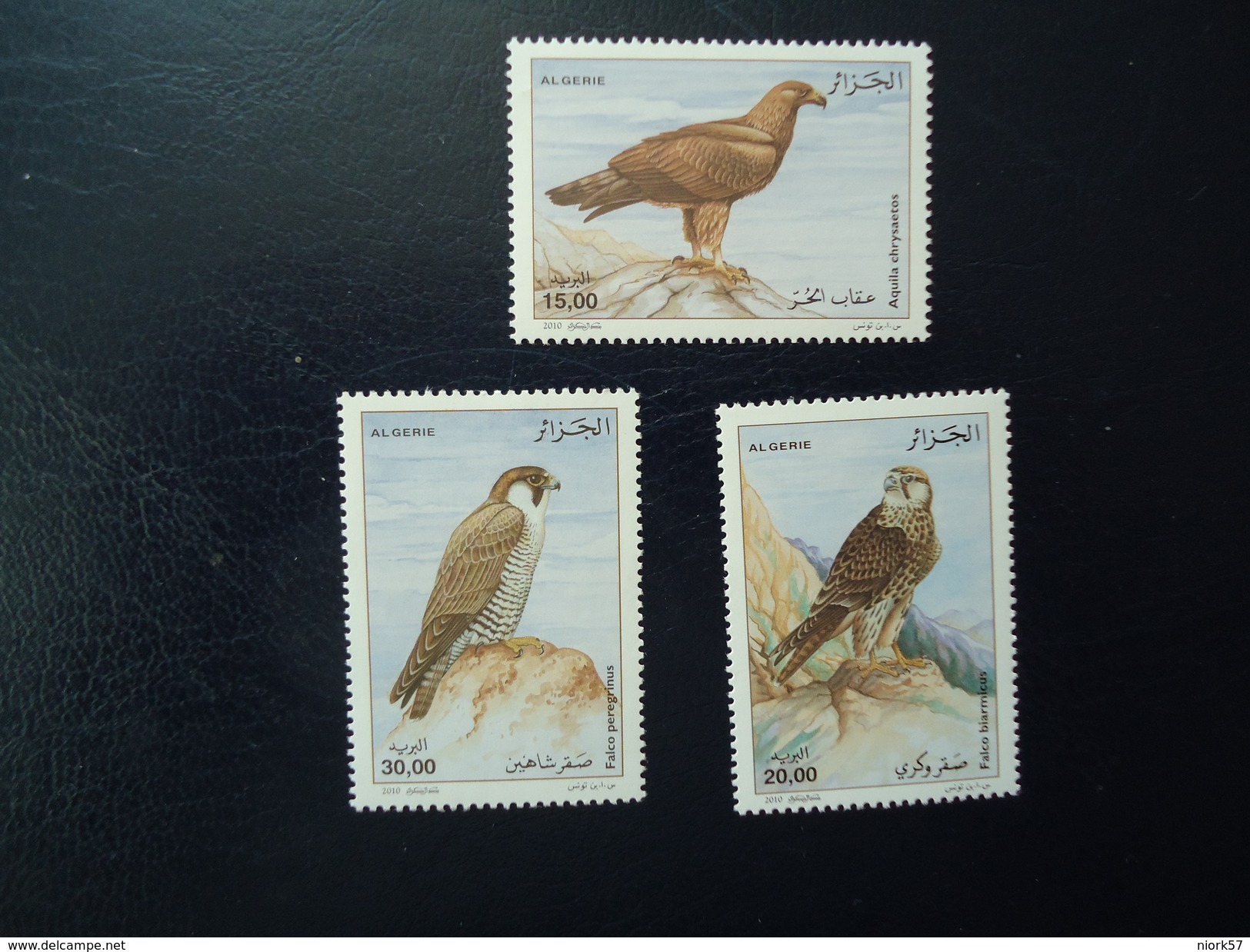 ALGERIA  MNH **    STAMPS BIRD BIRDS   SET 2010 - Algérie (1962-...)