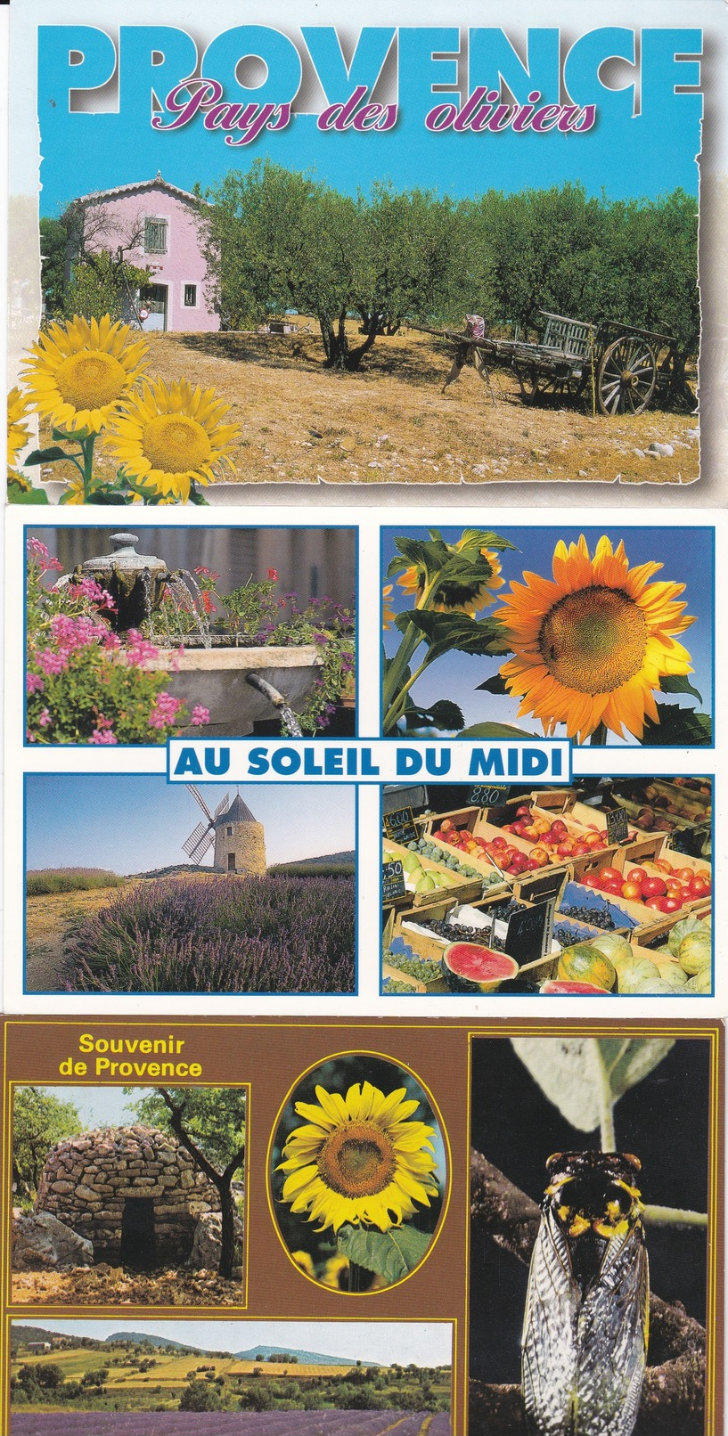 LOT De 35  CPM Représentant Des TOURNESOLS   //  TBE - 5 - 99 Cartes