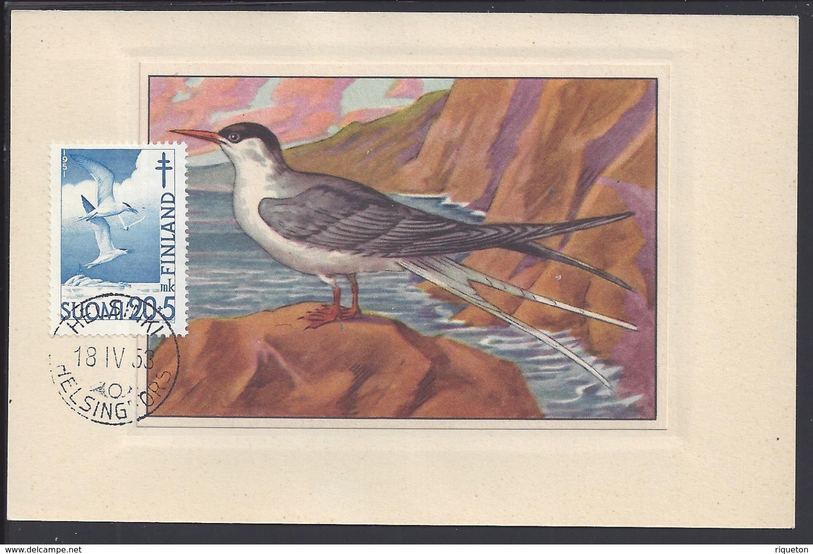 FINLANDE - Carte Maximum "Sterna Hirundo Hirundo - Sterne" Cachet Helsinki 18-IV-53 - B/TB - - Maximum Cards & Covers