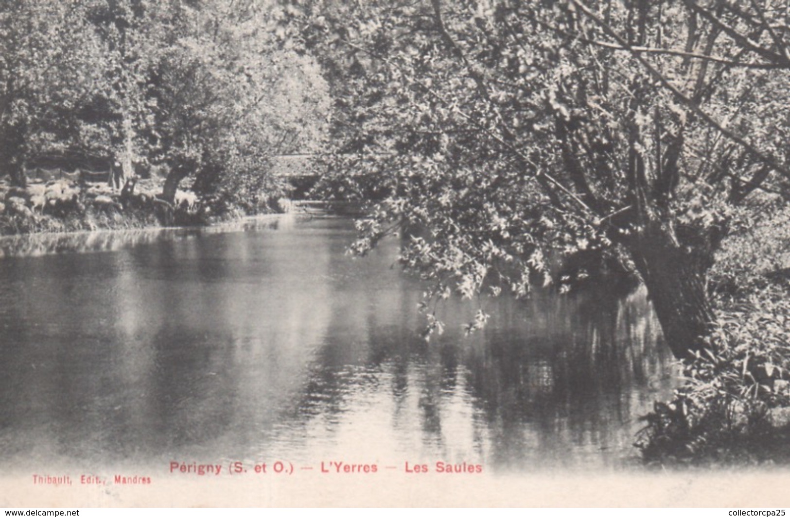 Perigny ( S.-et-O.) - L' Yerres - Les Saules - Perigny