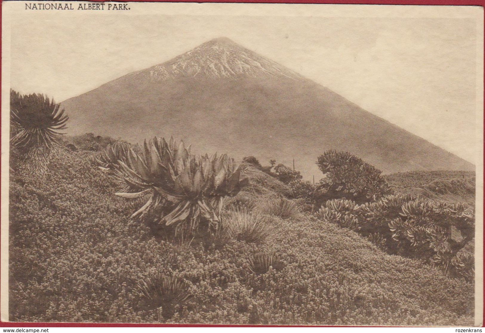 Belgisch Congo Belge Nationaal Albert Park Vulkaan Visoke Karisimbi Volcano (afgesneden) - Congo Belge