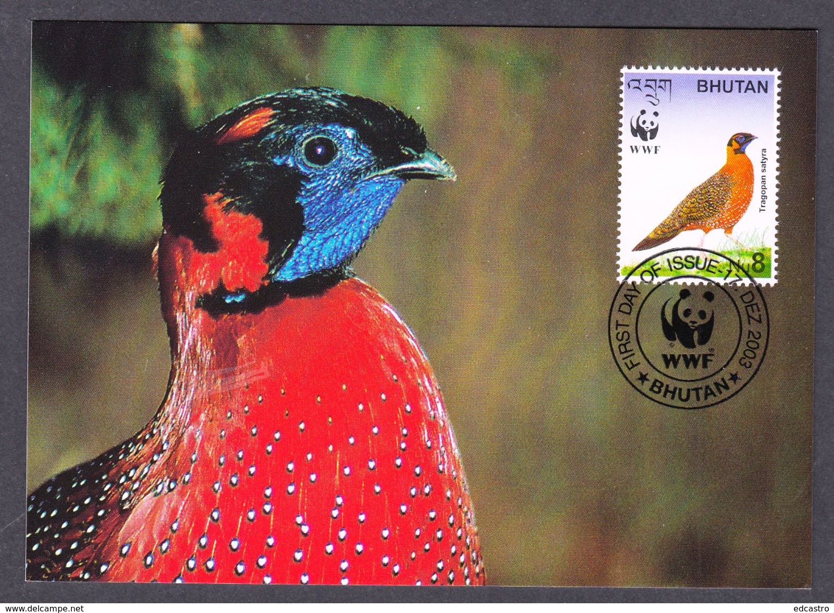 BHUTAN 2003 MAXIMUM CARD BIRDS - SATYR TRAGOPAN - Gallináceos & Faisanes