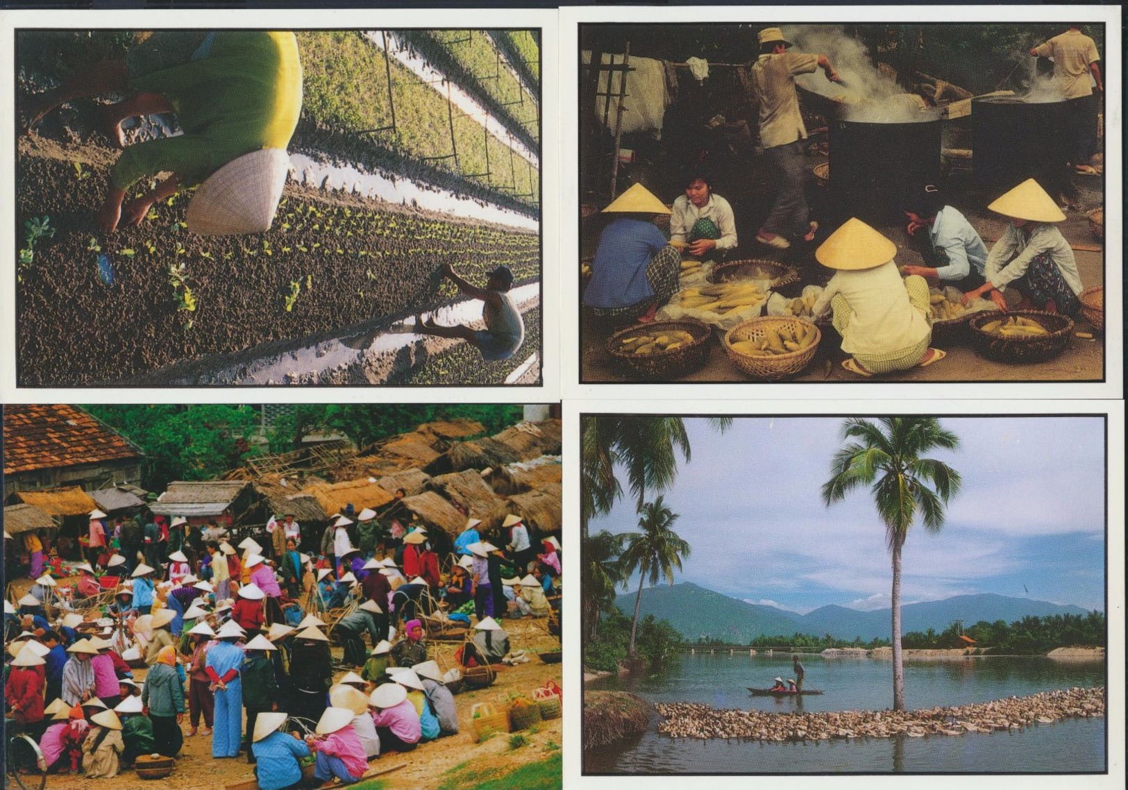 °°° CARNET 4 POSTCARDS - THAILAND - DAILY LIFE IN THE SUBURB OF NHA TRANG CITY °°° - Thaïland