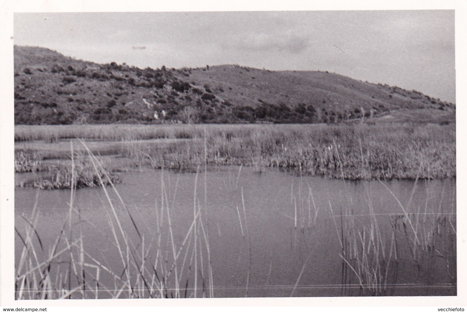 FONDI - LATINA - LE PALUDI  - PICCOLA FOTO DEL 1946 - Lieux