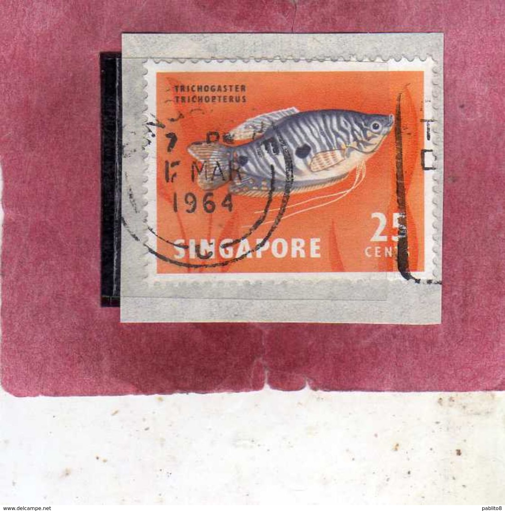 SINGAPORE SINGAPOUR 1962 FAUNA FISHES FISH PESCI PESCE POISSONS POISSON Twospot Gournaml CENT. 25c USATOUSED OBLITERE' - Singapore (1959-...)