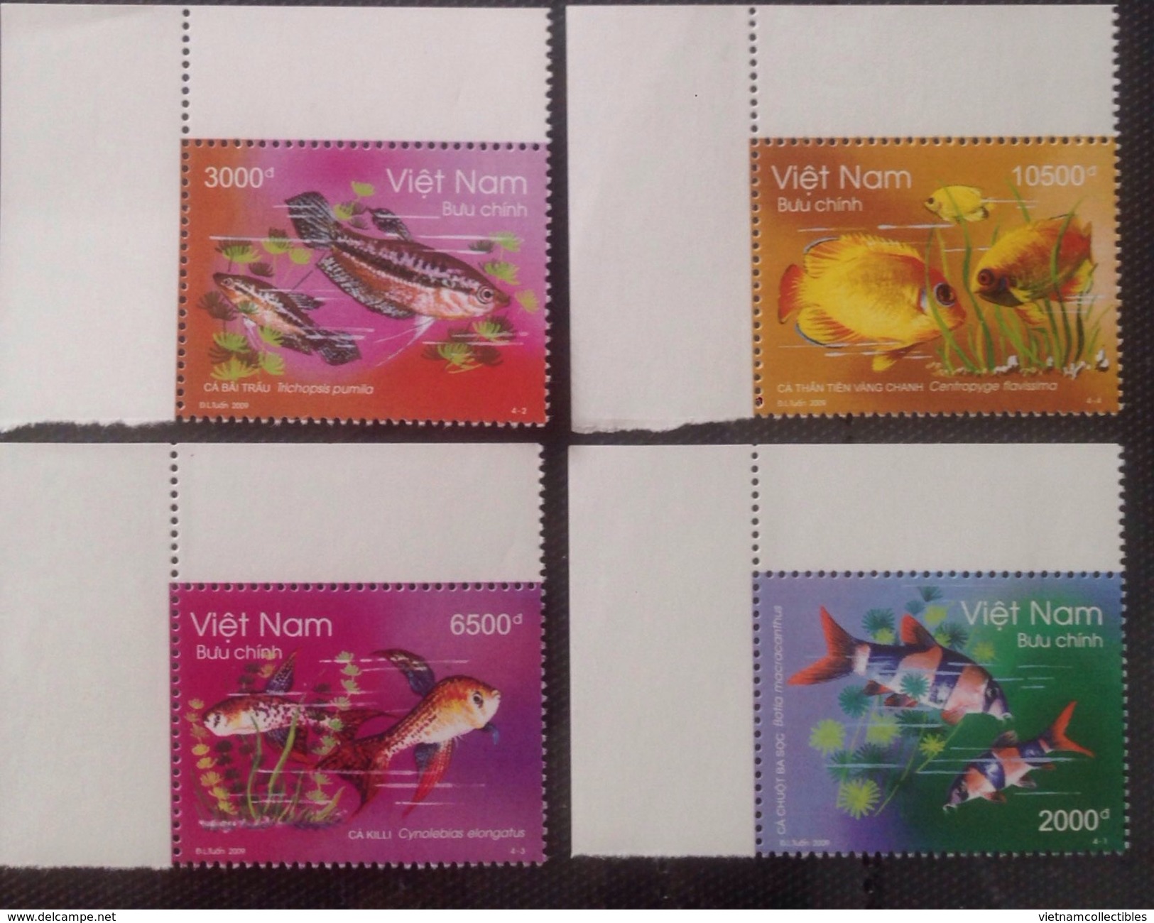 Vietnam Viet Nam MNH Perf Withdrawn Stamps 2009 With Margin Board : Ornamental Fishes / Fish (Ms986) - Viêt-Nam