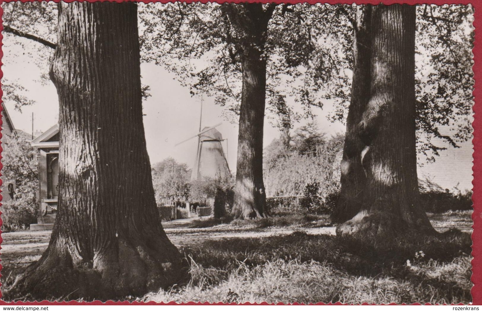 Boechout De Molen Windmolen Windmill Moulin A Vent - Boechout