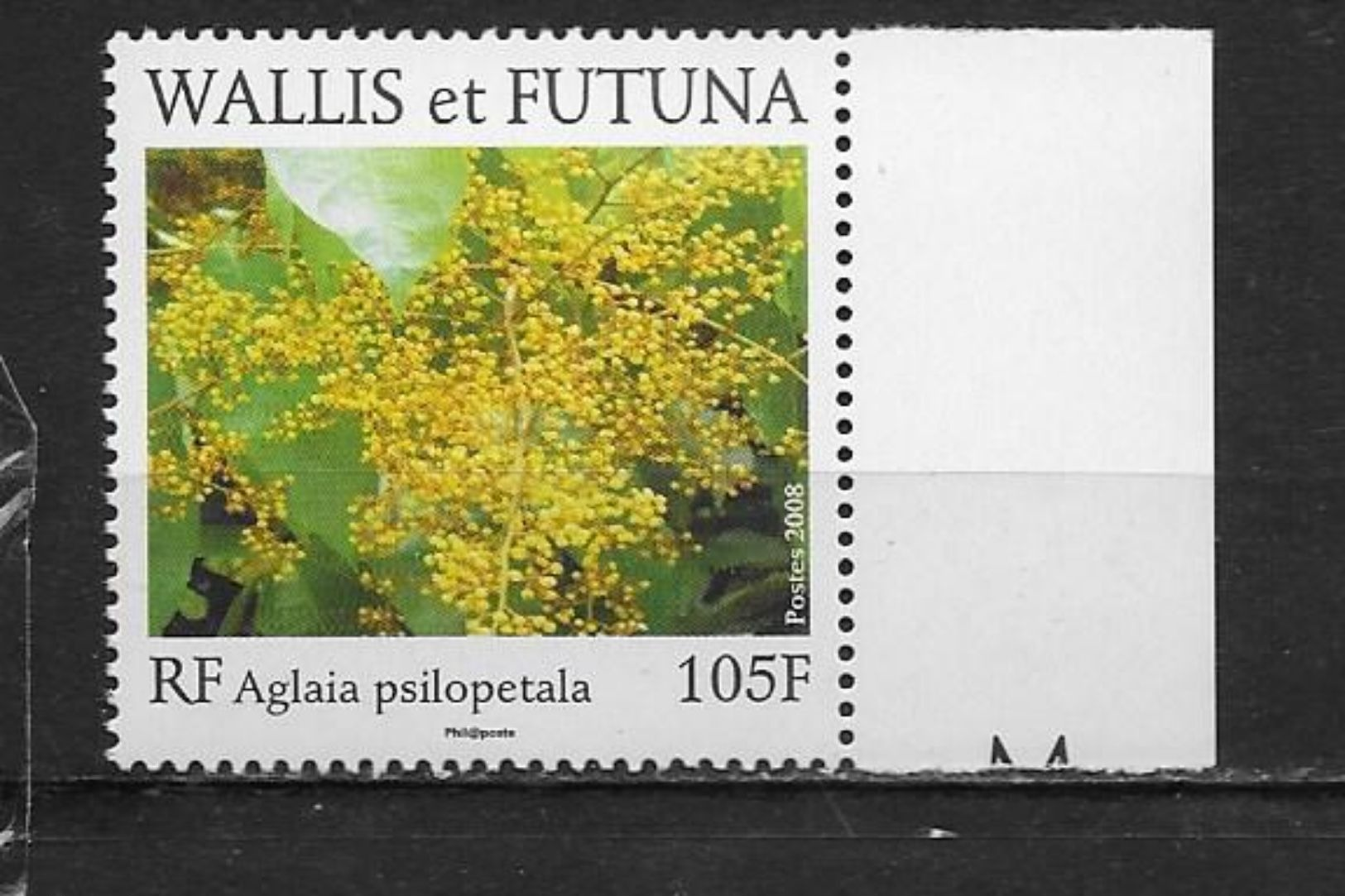 Flore.Arbre Endémique Aglaiapsilopetala. - Unused Stamps