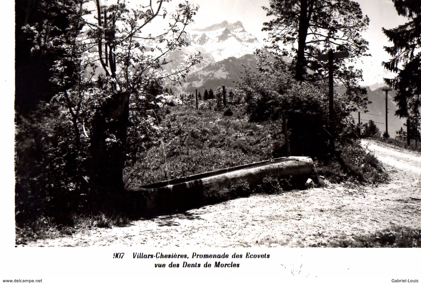 Villars-Chesières, Promenade Des Ecovets Vue Des Dents De Morcles  (Carte Grand Format) - Morcles