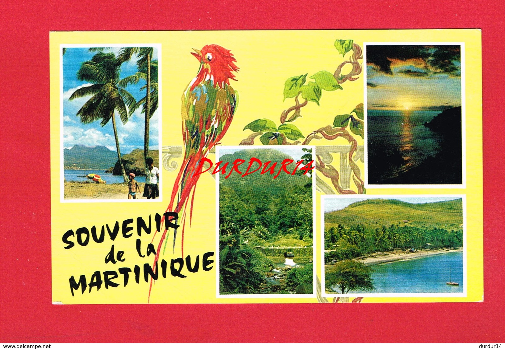 Martinique > Souvenir De La Martinique - Autres & Non Classés