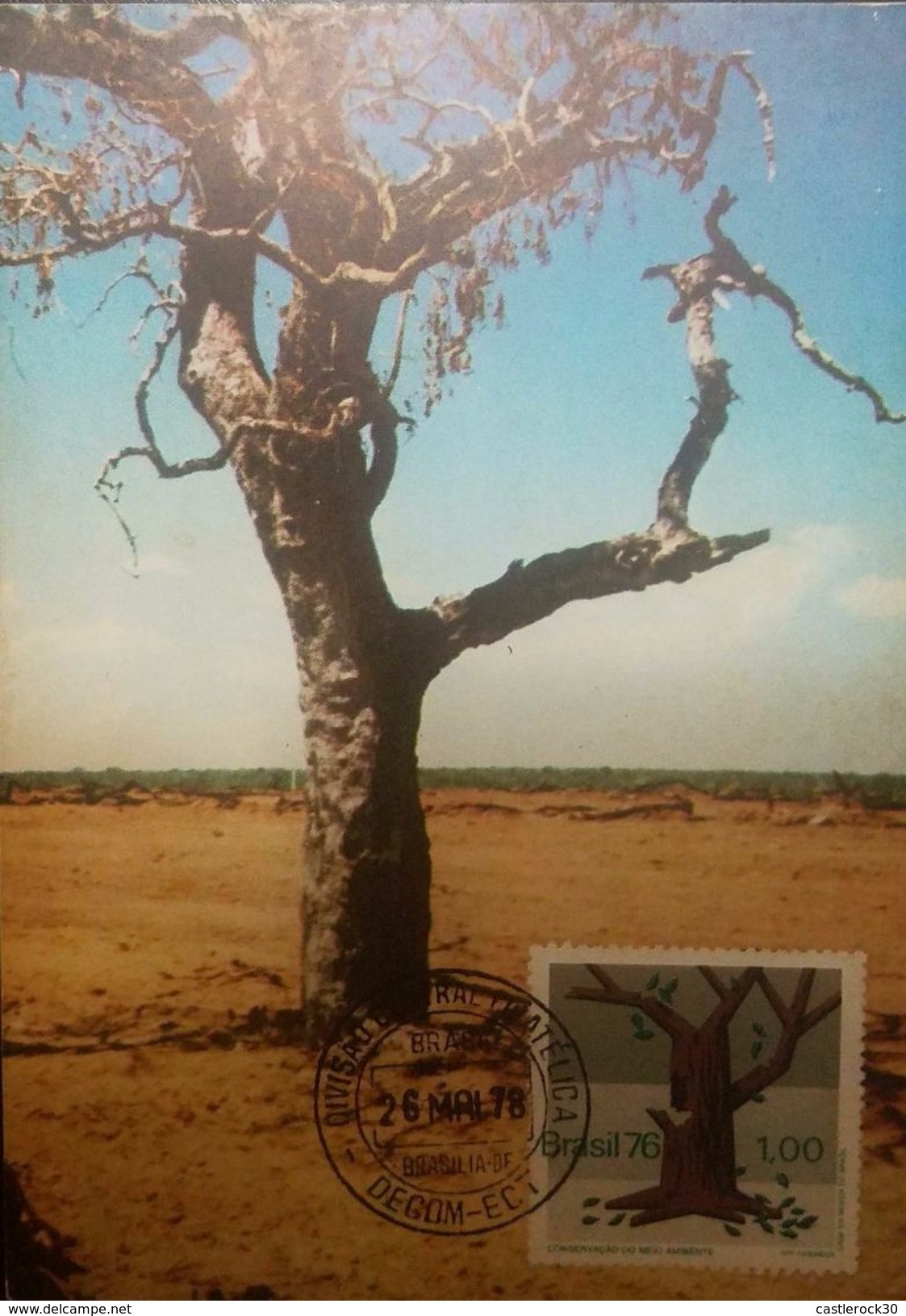 L) 1976 BRAZIL, CONSERVATION OF THE ENVIRONMENT, NATURE, TREE, LEAVES, MAXIMUN CARD, XF - Maximum Cards