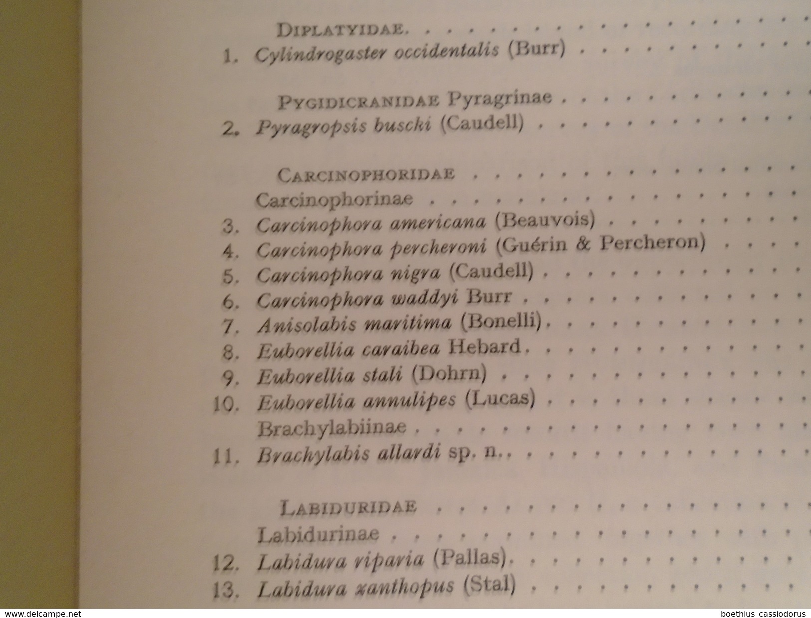 THE DERMAPTERA OF THE CARIBBEAN  1971  By A. BRINDLE, Dermaptères Entomologie Insectes, Caribbean, Fauna Of Curacao... - Biological Science